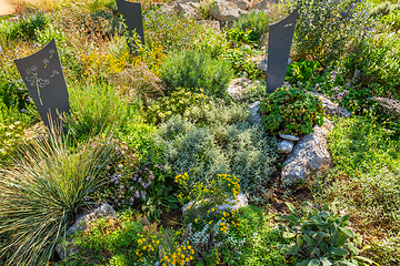 Image showing Modern gave cross and tombstone decorated with native plants and succulents