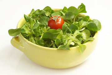 Image showing Field salad