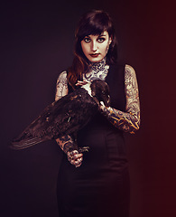 Image showing Bird, tattoo or portrait of woman in studio for fashion or edgy style isolated on black background. Pied crow, dark or cool female punk model with ink for unique art, aesthetic or creative expression