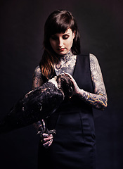 Image showing Fashion, woman and bird animal in studio for witchcraft or magic, mysterious and fantasy with punk culture. Person, eagle and isolated on black background for darkness and creepy grunge look.
