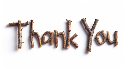 Image showing Words Thank You created in Maple Twig Letters.