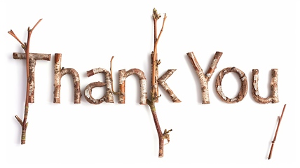 Image showing Words Thank You created in Maple Twig Letters.