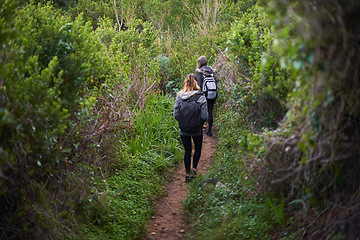 Image showing Women, friends and walking or hiking in nature for adventure, workout or exercise as fitness routine in forest. People, green plants and trees in Denmark for journey in woods or bush in countryside