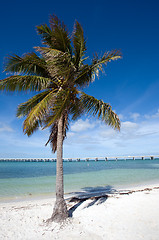 Image showing Bahia Honda State park