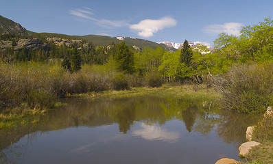 Image showing Spring Pond in the Rockies