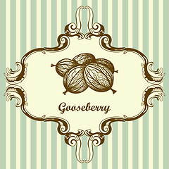Image showing Icon Of Gooseberry