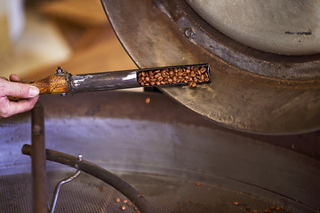 Image showing Coffee beans, machine and hands in factory for roast, grinding or production for flavor, export or quality assurance. Person, metal container and caffeine manufacturing with organic stock for ecology