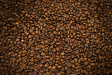 Image showing Coffee beans, closeup and organic with natural source for export, trading or flavor with sustainability. Caffeine, supply chain and manufacturing with zoom, industry or logistics for distribution