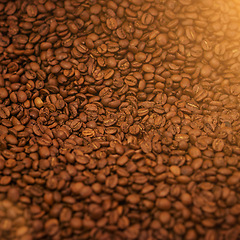 Image showing Coffee beans, closeup and product with natural source for export, trading or flavor with sustainability. Caffeine, supply chain and manufacturing with zoom, industry and logistics for distribution