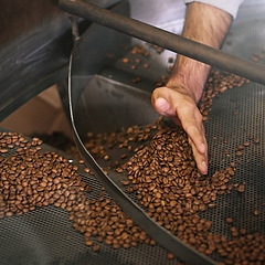 Image showing Coffee beans, machine and hands in industry for production, grinding and roast with flavor, export or quality assurance. Person, factory and manufacturing for caffeine with organic stock for ecology