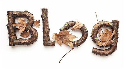 Image showing The word Blog created in Maple Twig Letters.