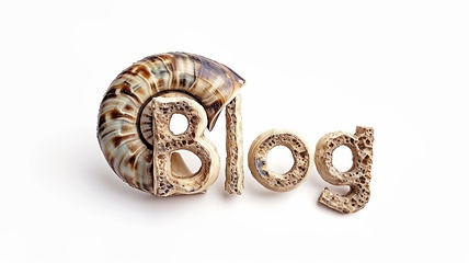 Image showing The word Blog created in Nautilus Shell Letters.