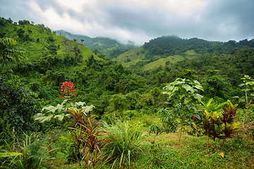 Image showing Landscape of Sierra Nevada mountains, Colombia wilderness landscape.