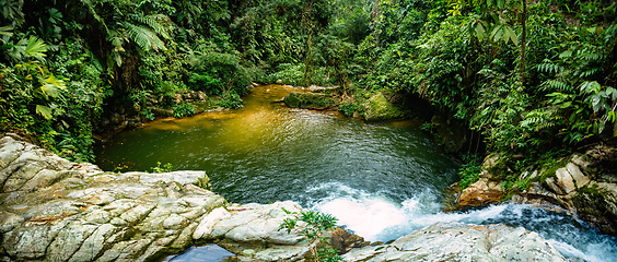 Image showing Small natural pond in jungle. Sierra Nevada mountains, Colombia wilderness landscape.