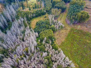 Image showing Aerial view of autumn countryside, traditional fall landscape in central Europe