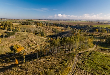 Image showing Top bird eye view of country road and yellow rapeseed field. Aerial view landscape. Czech Republic