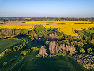 Image showing Drone flies over countryside with green field.