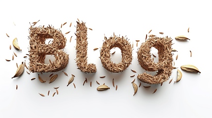 Image showing The word Blog created in Cardamom Typography.