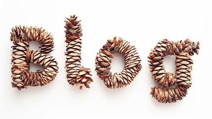 Image showing The word Blog created in Cedar Pinecone Letters.