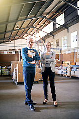 Image showing Boxes, portrait and business people in warehouse together with package, logistics or distribution. Export, commerce and service team at cargo storage factory with clipboard, pride and confident smile