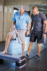 Image showing Physiotherapist, helping and senior man with cardio, training and elderly support for care. Men, gym and exercise for health, wellness and coaching with aerobic step for mature rehab and wellbeing