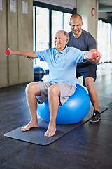 Image showing Physiotherapist, helping and senior man with dumbbell, training and elderly support for care. Men, gym and exercise for health, wellness and coaching with yoga ball for mature rehab and wellbeing