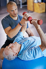 Image showing Physiotherapist, dumbbell and old man on exercise ball for osteoporosis treatment in fitness centre, workout and pain reduction for elderly person. Male retiree, professional and senior care.