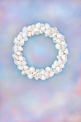 Image showing Cockleshell Seashell Wreath on Rainbow Sky Background