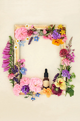 Image showing Flowers and Herbs for Aromatherapy and Natural Herbal Medicine