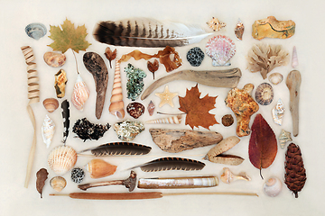 Image showing Nature Study Composition of Natural Objects