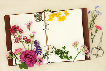 Image showing British Flowers Herbs and Wildflowers for Natural Flower Remedie