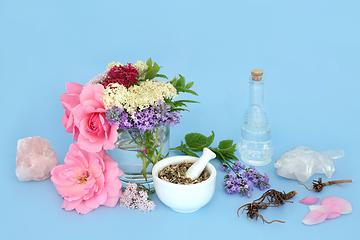 Image showing Summer Flowers for Natural Tranquilizing Healing Remedies