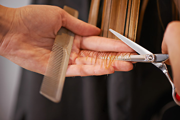 Image showing Cutting, salon and closeup with hair style, scissor or volume with texture or service with trim, luxury or wellness. Industry, professional or client with a comb or treatment with shampoo or grooming