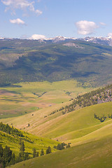 Image showing Buffalo, National Bison Range