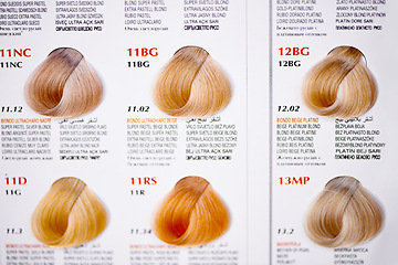 Image showing Hair color, catalog and closeup of swatches at hairdresser for tone, shade and chart for options with information. Display, palette and labels with description for choice, sample or decision at salon