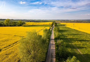 Image showing Top bird eye view of country road and yellow rapeseed field. Aerial view landscape. Czech Republic