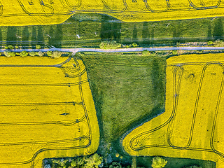 Image showing Top bird eye view of country road and yellow rapeseed field. Aerial view landscape. Czech Republic