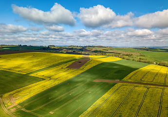 Image showing Top bird eye view of country road and yellow rapeseed field. Aerial view landscape. Czech Republic