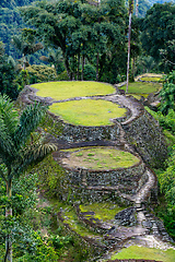 Image showing Ciudad Perdida, ancient ruins in Sierra Nevada mountains. Santa Marta, Colombia wilderness