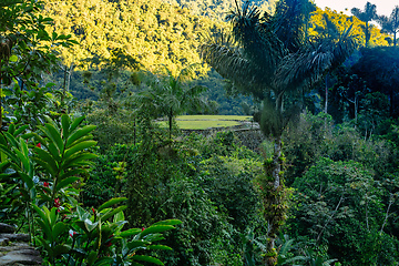 Image showing Ciudad Perdida, ancient ruins in Sierra Nevada mountains. Santa Marta, Colombia wilderness