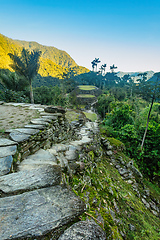 Image showing Ciudad Perdida, ancient ruins in Sierra Nevada mountains. Santa Marta, Colombia wilderness