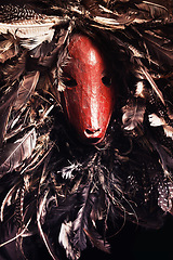 Image showing Halloween, monster and festival skeleton with creative costume for unique dark horror animal skull in studio. Scary, traditional and surreal goat face mask with feathers for culture for sinister art