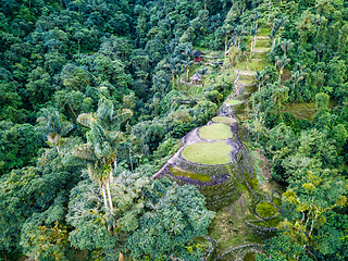 Image showing Ciudad Perdida, ancient ruins in Sierra Nevada mountains. Santa Marta, Colombia wilderness