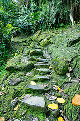 Image showing Ciudad Perdida, ancient ruins in Sierra Nevada mountains. Santa Marta, Colombia wilderness