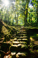 Image showing Ciudad Perdida, ancient ruins in Sierra Nevada mountains. Santa Marta, Colombia wilderness