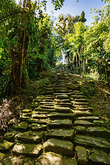 Image showing Ciudad Perdida, ancient ruins in Sierra Nevada mountains. Santa Marta, Colombia wilderness