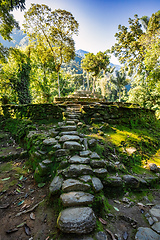 Image showing Ciudad Perdida, ancient ruins in Sierra Nevada mountains. Santa Marta, Colombia wilderness