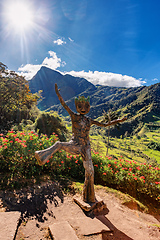 Image showing Entertainment center in Valle del Cocora Valley with tall wax palm trees. Salento, Quindio department. Colombia