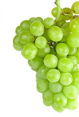 Image showing green grapes closeup
