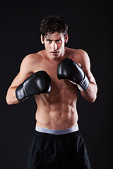 Image showing Man, portrait and boxing gloves in studio for workout fight or martial arts training or performance, black background or challenge. Male person, face and sports exercise or fitness, athlete or mockup